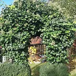 Anna's - * Ratsch an der Weinstraße