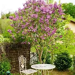 Anna's -