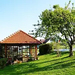 Anna's -