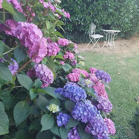 Anna's - Ratsch an der Weinstraße