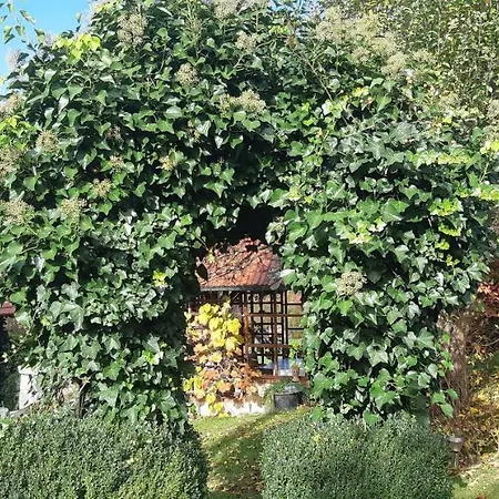 Anna's - * Ratsch an der Weinstraße