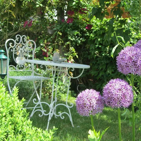 公寓 Anna's - Ratsch an der Weinstraße