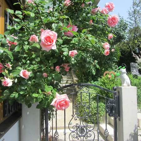 Anna's - * Ratsch an der Weinstraße