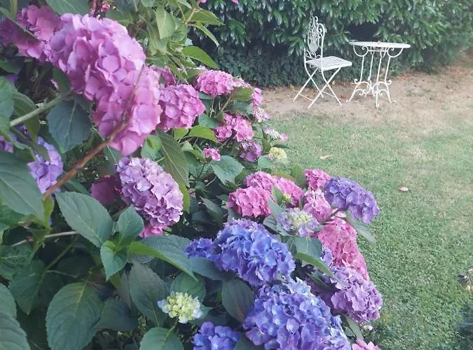 Anna's - Ratsch an der Weinstraße