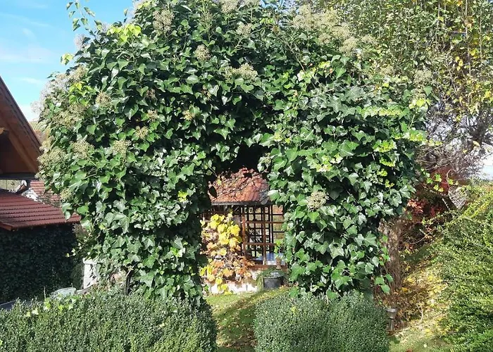 Anna's - * Ratsch an der Weinstraße